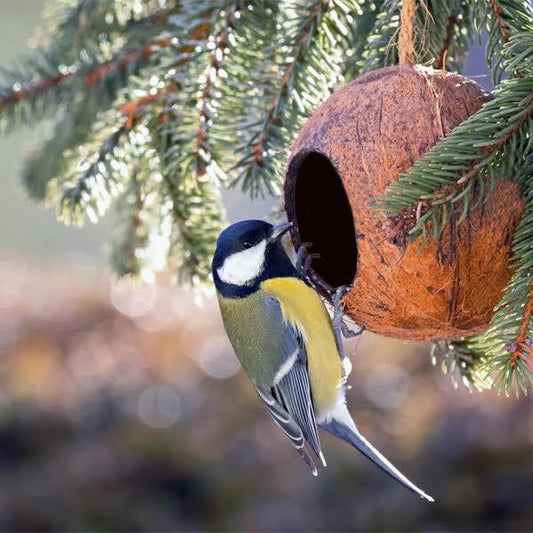 Bird Feeder | Coconut Shell Bird House with Hanging Rope | Bird Nest